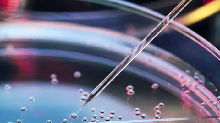 Ein vergrößertes Bild einer Pipette, die in eine Petrischale taucht.