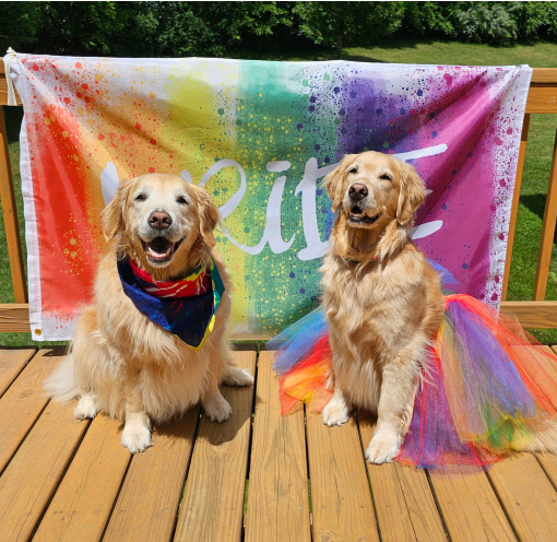 Two golden retriever dogs are seated side-by-side outside on a wooden deck in front of a rainbow flag that says "Pride." One wears a rainbow bandana around their neck and the other wears a rainbow tutu.